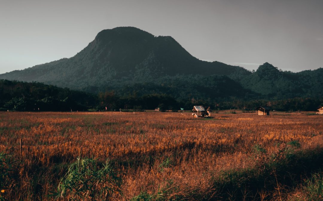 Optimized landscapes in East Kalimantan