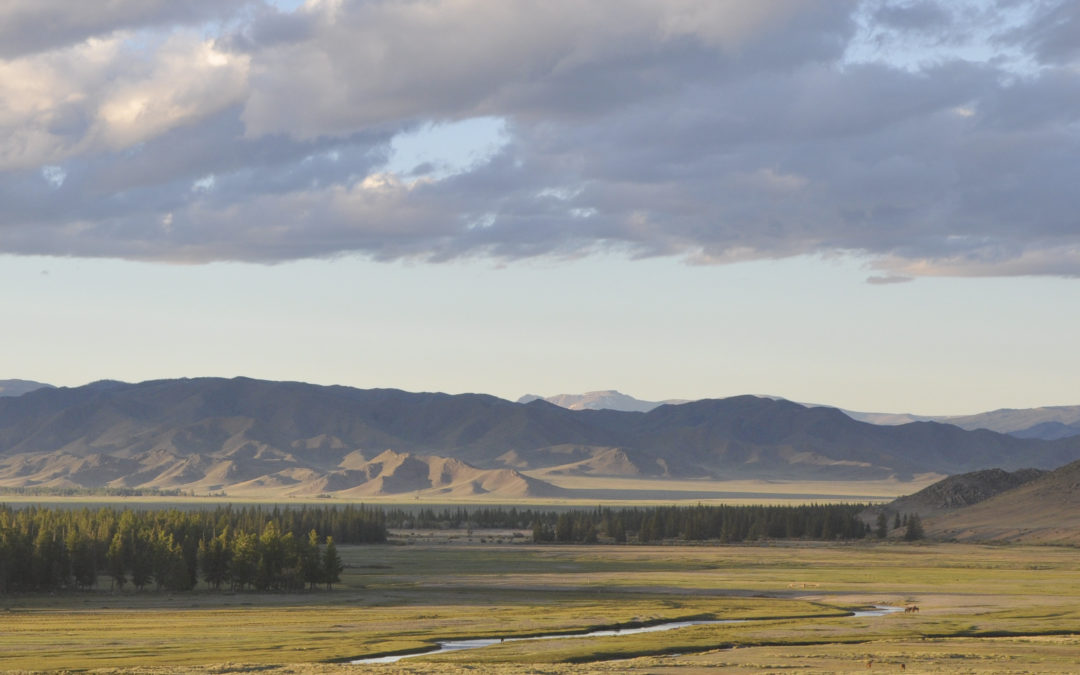 Landscape-level mitigation in Mongolia