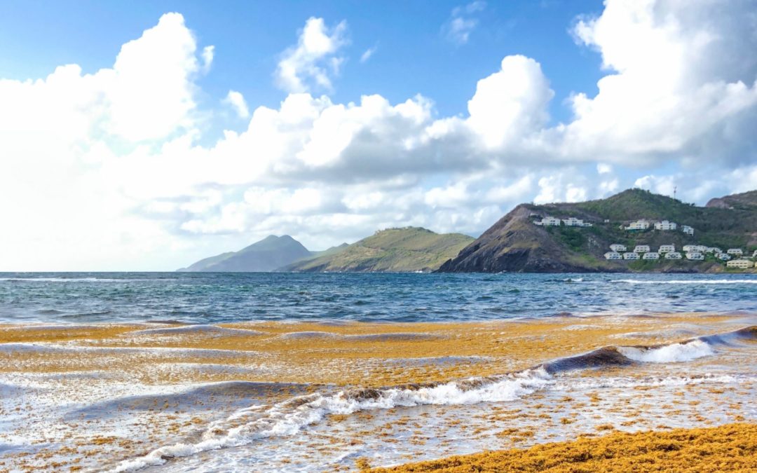 Marine Spatial Planning in St. Kitts and Nevis